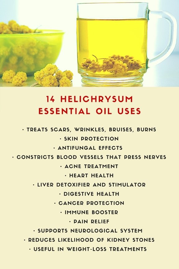 14 Helichrysum Essential Oil Benefits