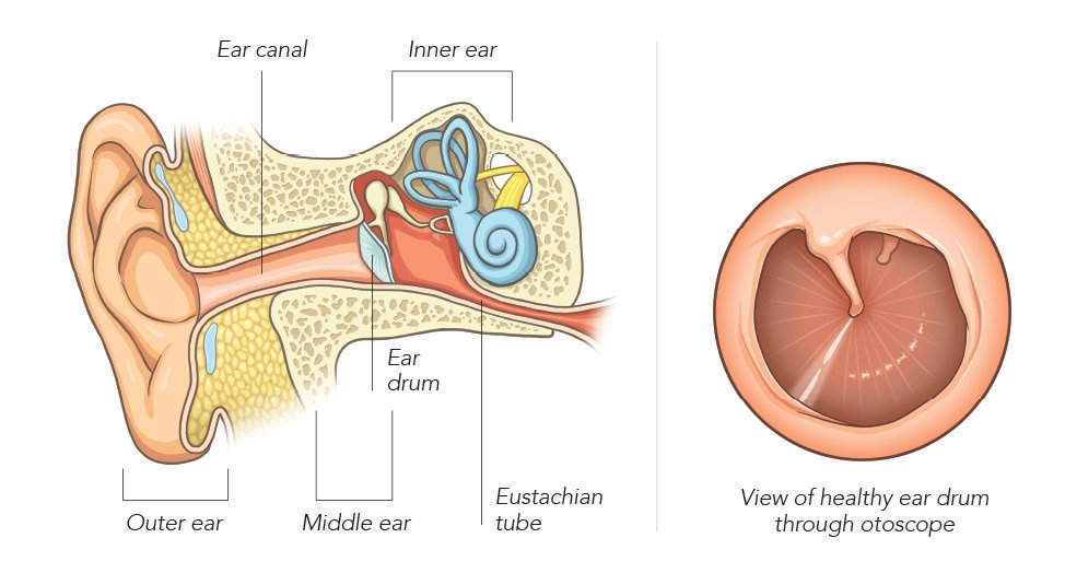 Ear Infection Pain Management