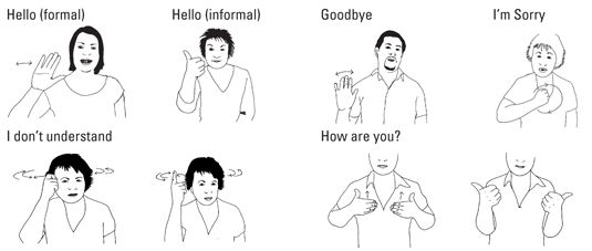 Essential Expressions in British Sign Language