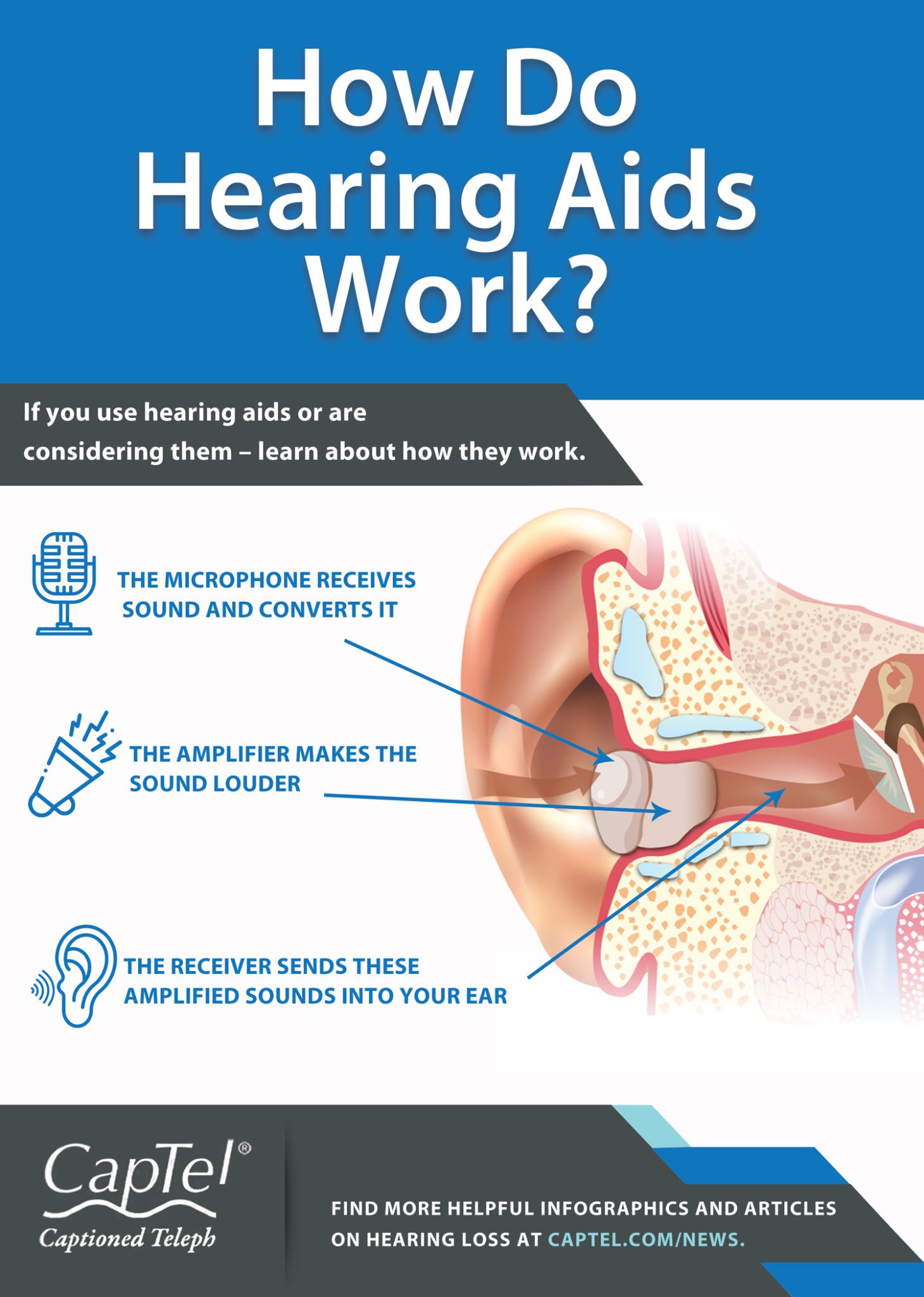 How Do Hearing Aids Work? [Infographic]