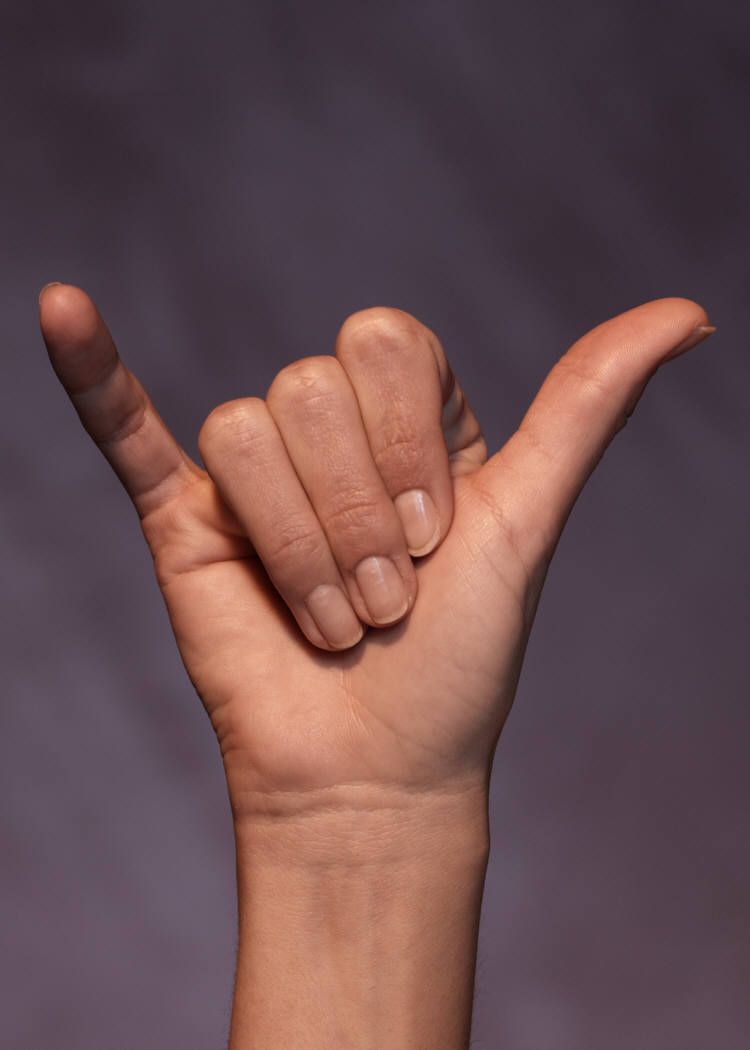 sign language y