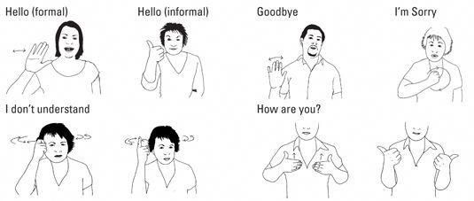 Sketch Show Sign Language