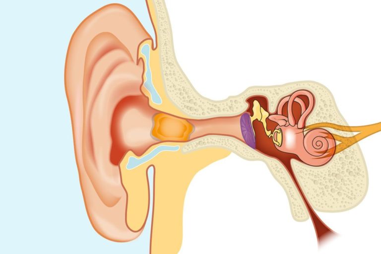 What causes odorless Clear Discharge from Ear