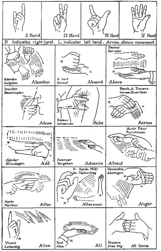 Wolf Elective 1d Native American Sign Language (Lots and ...